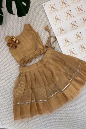 Naruvi – Gold tissue silk skirt and top
