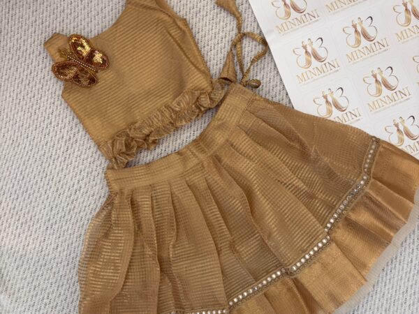 Naruvi - Gold tissue silk skirt and top
