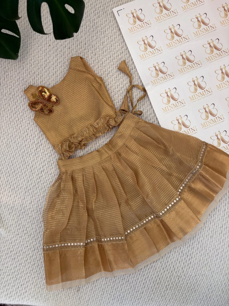 Naruvi - Gold tissue silk skirt and top